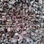 comprar piñas secas