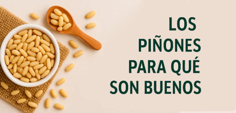 Los piñones para qué son buenos 1 los-piñones-para-que-son-buenos