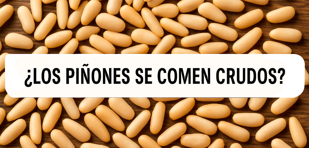 ¿Los piñones se comen crudos? 1 los-pinones-se-comen-crudos