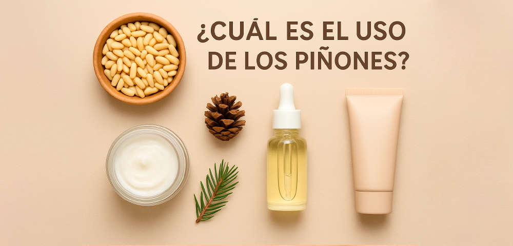 ¿Cuál es el uso de los piñones? 1 cual-es-el-uso-de-los-pinones